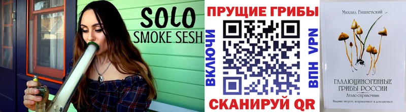 Псилоцибиновые грибы прущие грибы  Мышкин 