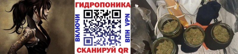 Канабис марихуана  hydra маркетплейс  Мышкин  наркота 